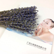 天然干花 法国蓝薰衣草干花束 真花 自然风干