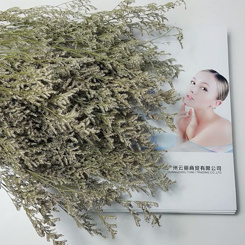 情人草3